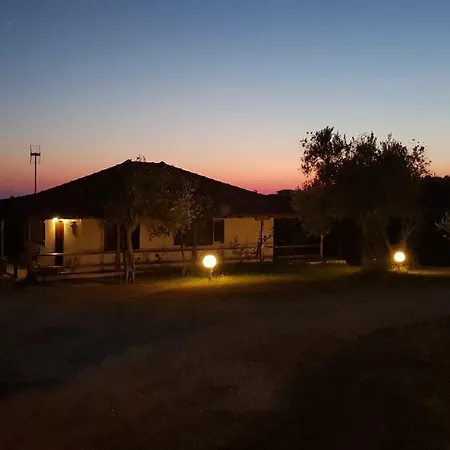 Iviritiko * ネア・ローダ