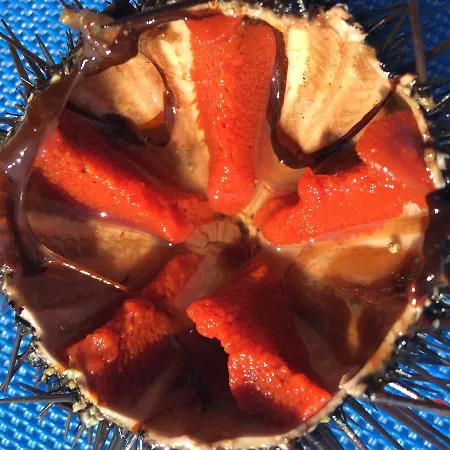 Iviritiko * Nea Roda