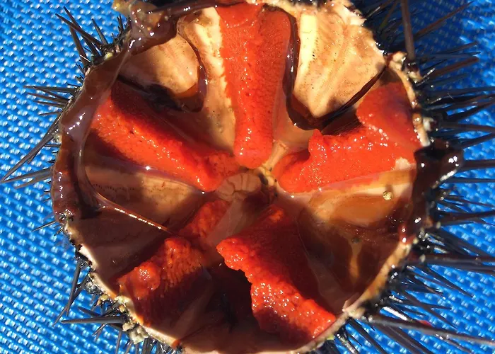 Iviritiko * Nea Roda